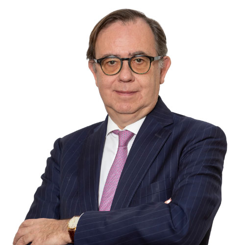 José Ignacio Monedero Montero de Espinosa